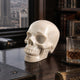 4.5" Ivory Jade Crystal Skull - Pattern A