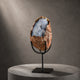 ‘Dawn of Life’ - Blue Chalcedony Hatching Dragon · Specimen No. 18