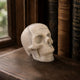 3" Ivory Jade Crystal Skull - Pattern D