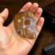 2" Yellow Chalcedony Crystal Skull - Pattern A