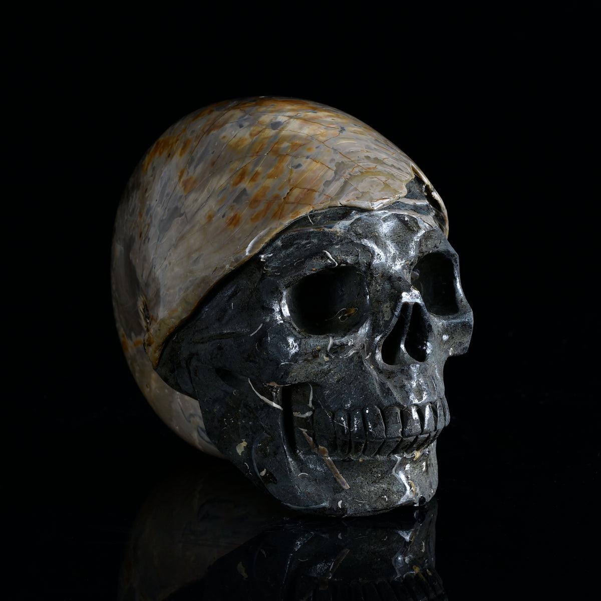 Additional view of a one-of-a-kind Ammonite Fossil fossil with carved skull sculpture