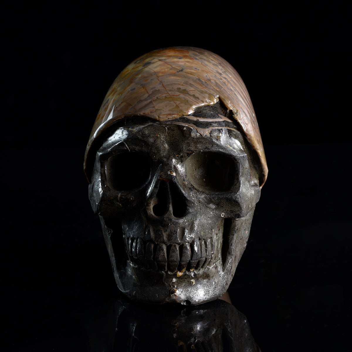 Additional view of a one-of-a-kind Ammonite Fossil fossil with carved skull sculpture