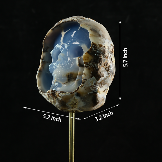 Additional view of a one-of-a-kind Blue Chalcedony cave skull carving in raw crust