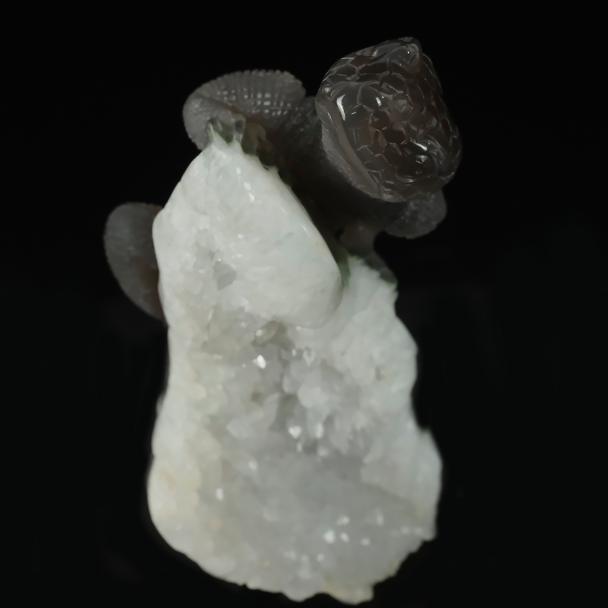 Additional view of a one-of-a-kind White Quartz crystal-cluster lizard carving