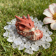 Additional view of a 2.5-inch Red Jasper dragon skull carving