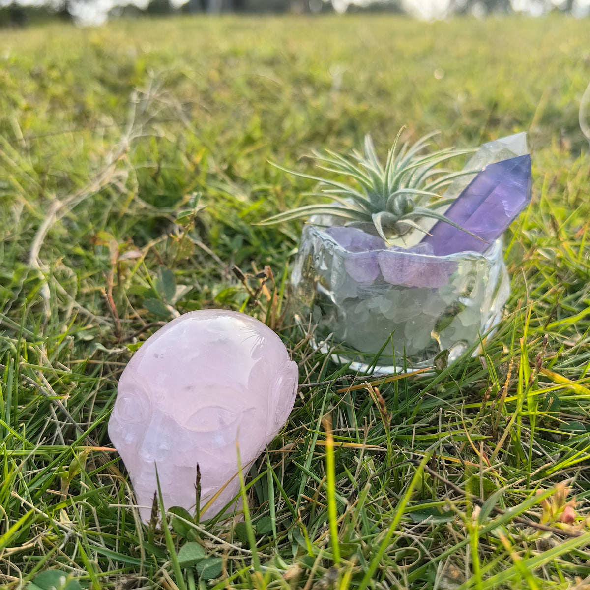 Additional view of a 3.8-inch Rose Quartz alien skull carving