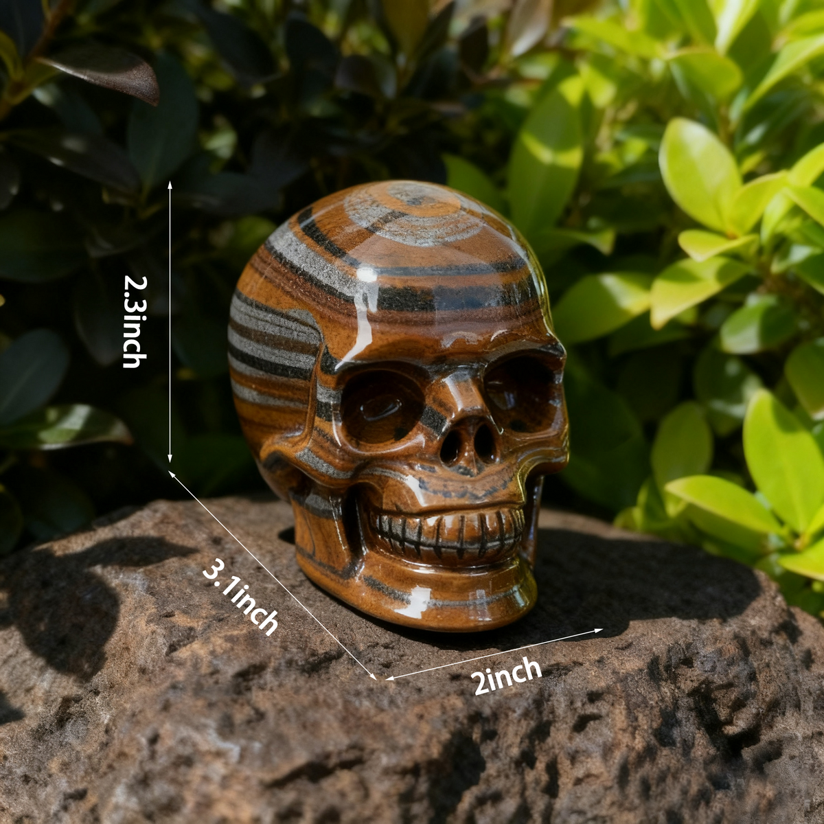 Additional view of a 3-inch Tiger Iron human skull carving