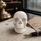 Main view of a 3-inch White Howlite human skull carving